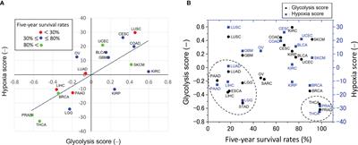 Oscillations and Dynamic Symbiosis in Cellular Metabolism in Cancer